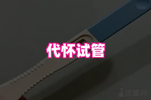 试管助孕网站 2