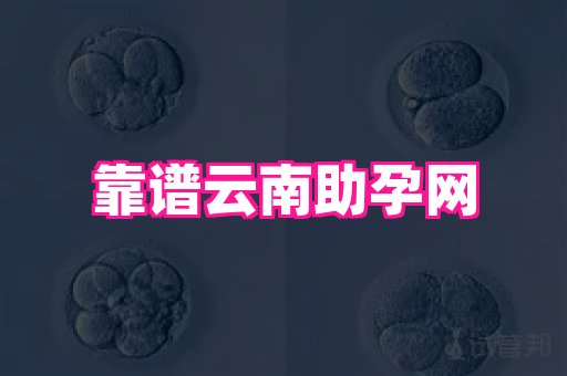 试管助孕网站 3